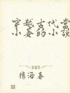 穿越古代当外室小妾的小说
