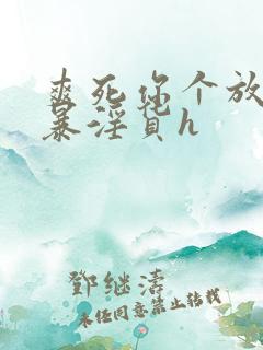 爽死你个放荡粗暴淫货h