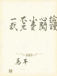 一不小心捡了总裁免费阅读