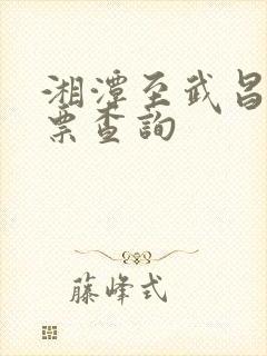 湘潭至武昌火车票查询