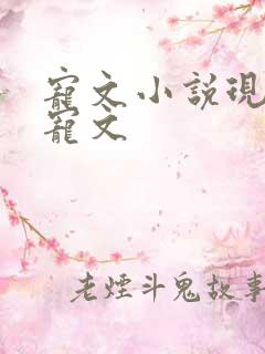 宠文小说现代甜宠文