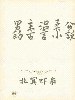 男主温柔公子型的古言小说