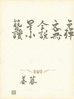 簪星全文免费阅读小说无弹窗 簪星全文免费阅读小说无弹窗