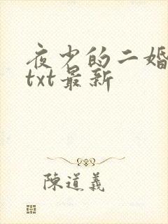 夜少的二婚新妻txt最新