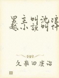 男主叫沈浪的穿越小说叫什么