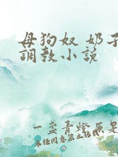 母狗奴 奶子 调教小说