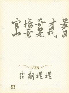官场奇才最强靠山竟是我自己李澜的小说