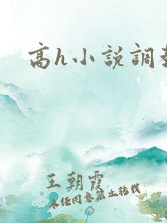 高h小说调教文