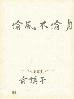 偷风不偷月原著