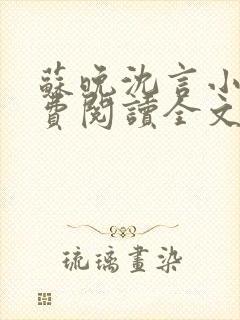 苏晚沈言小说免费阅读全文无弹窗