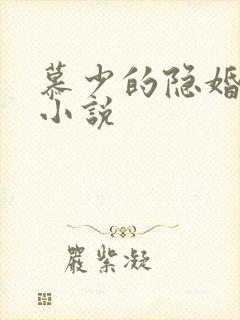 慕少的隐婚罪妻小说