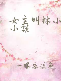 女主叫林小冉的小说