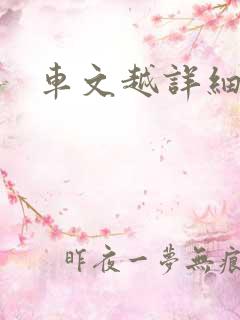 车文越详细越好