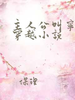 主人公叫宁宸的穿越小说