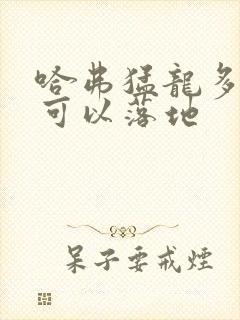 哈弗猛龙多少钱可以落地