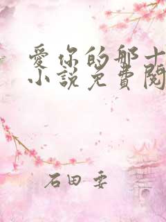 爱你的那十一年小说免费阅读
