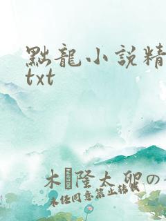 黜龙小说精校版txt