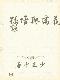 孙倩与高义的小说