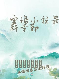 官场小说最新更新章节