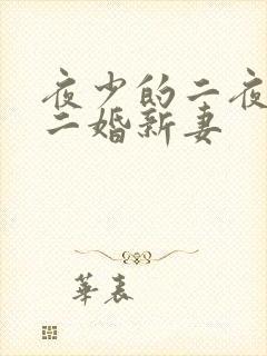 夜少的二夜少的二婚新妻 夜少的二夜少的二婚新妻