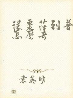 从枣庄到普陀山怎么去