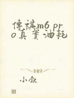 传祺m6 pro真实油耗