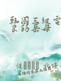 韩国三级电影善良的岳母