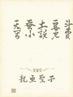 天蚕土豆斗破苍穹小说免费阅读
