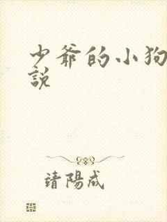 少爷的小狗奴小说