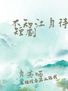 不知江月待何人 短剧