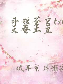 斗破苍穹txt天蚕土豆