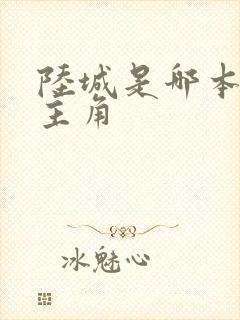 陆城是哪本小说主角 陆城是哪本小说主角