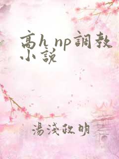 高h np调教小说