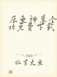 辰东神墓全本txt免费下载 辰东神墓全本txt免费下载