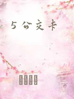 5 公交卡