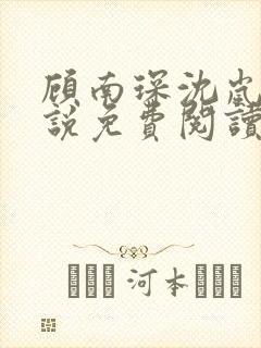 顾南琛沈岚晚小说免费阅读最新章节更新