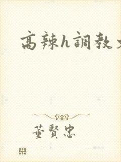 高辣h调教文