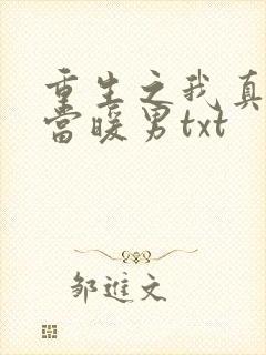 重生之我真没想当暖男txt