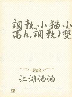 调教小猫小说(高h,调教)双性