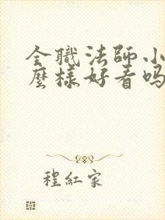 全职法师小说怎么样好看吗
