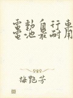 电动自行车哪款电池最耐用,续航时间最长