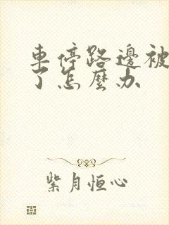 车停路边被刮花了怎么办