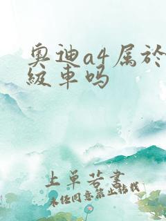 奥迪a4属于b级车吗