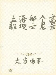 上海哪个高铁站离迪士尼最近