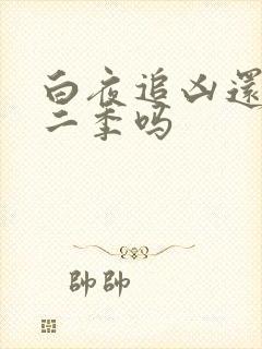 白夜追凶还有第二季吗