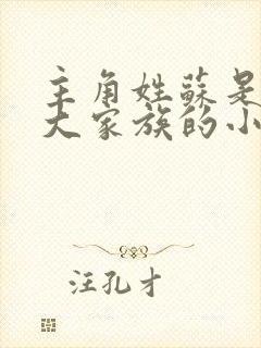 主角姓苏是京城大家族的小说