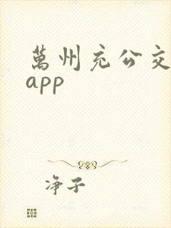 万州充公交卡的app