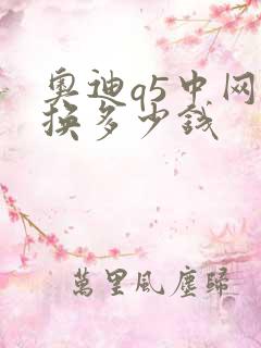 奥迪q5中网更换多少钱
