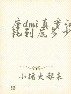 唐dmi真实油耗到底多少