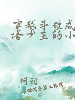 穿越斗破成为丹塔少主的小说